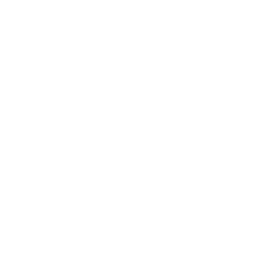 ADA Optimized