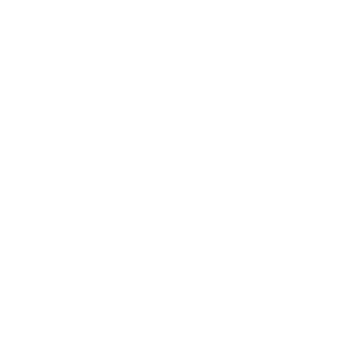 WCAG 2.1 Level AA